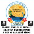 Hawaii-SPYKE-paddle