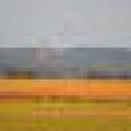 50x50-DSC_9729