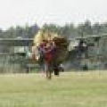 100x100-IMG_3380